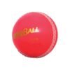 Aero Club Cricket Balls - Adult
