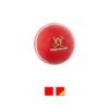 Readers Supaball Training Cricket Ball